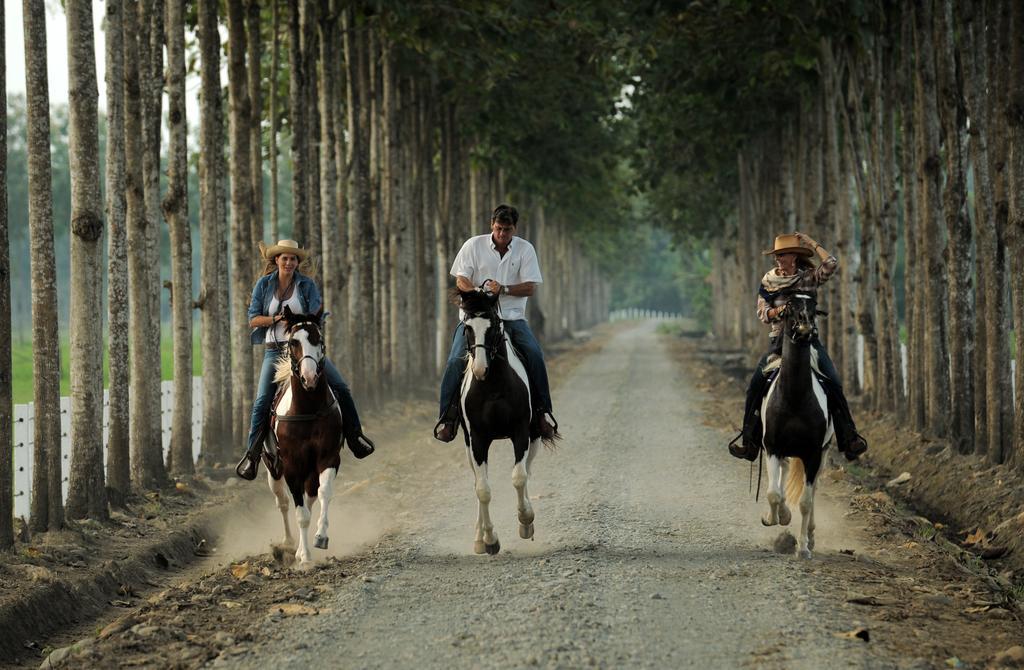 Hacienda La Danesa Villa La Union  Ngoại thất bức ảnh